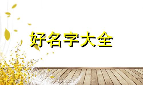 如何给玩具起名字男孩子