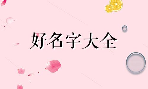 属龙和属蛇对比如何起名