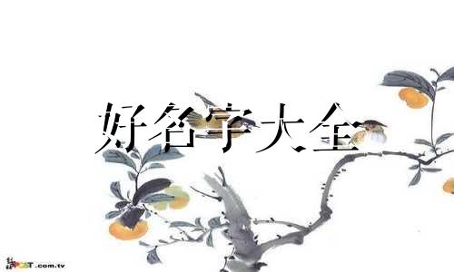 私人公众号如何起名称好听