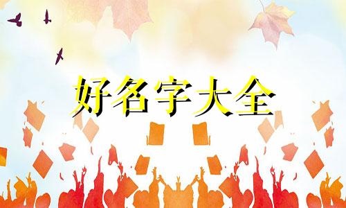 口播账号如何起名字呢大全