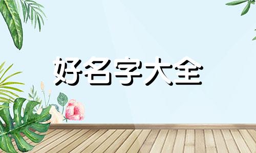 起名带柳字如何取名字大全