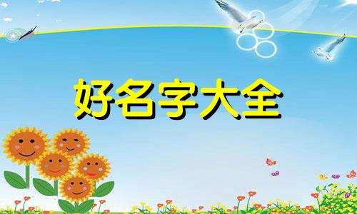 如何给喜鹊起名字大全可爱