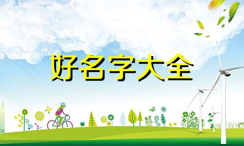 如何给富人极致服务起名字