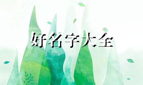 如何给自己的玩具起名字好听