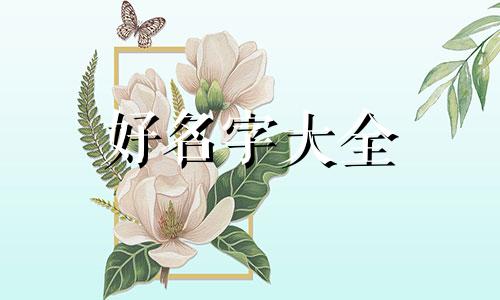 微信接个店店名如何起名字