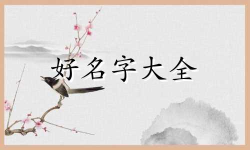 幼儿园零食如何起名好听