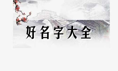 命名牌如何给狗起名字图片