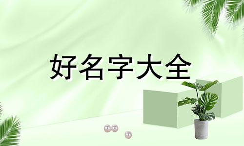 卖米公司如何起名好听一点