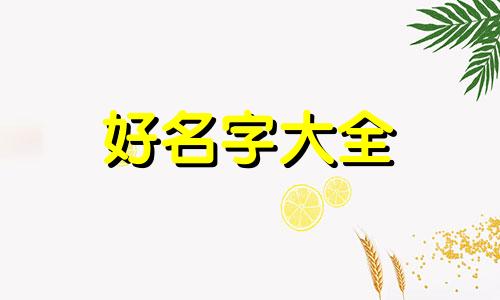 做零食如何起名好听呢女生