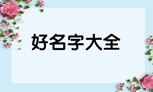 遇见你的猫该如何起名称
