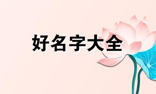 滑板车如何起名字呢女生