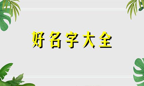 小视频如何起名称呢男孩