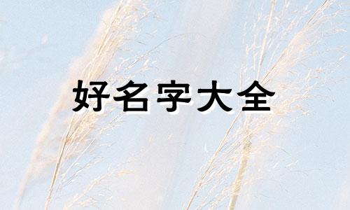 小程序账号如何起名字和昵称