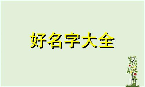 如何按易经八卦给公司起名