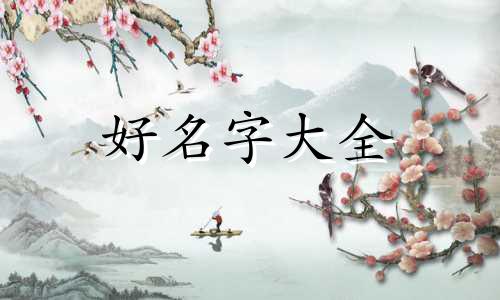 读书主播如何起名好听一点