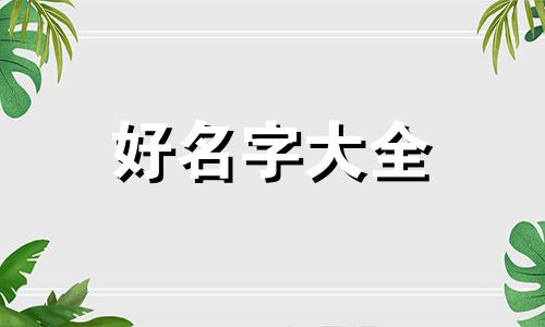 如何自学八字起名字女