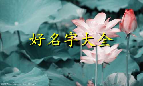如何去帮别人起名字不用钱