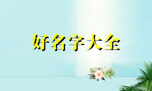 如何给男猫起名字大全洋气