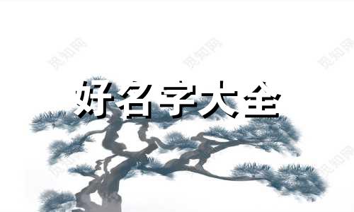 中老年人如何起名好听点