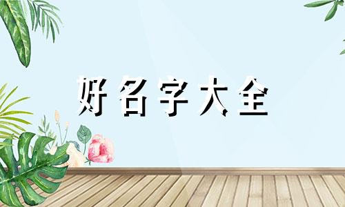 暴龙如何起名英文名称