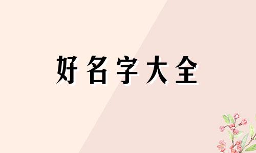 外商投资公司如何起名字