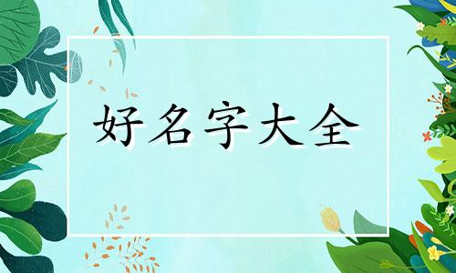 如何给老赖起名子好听的名字