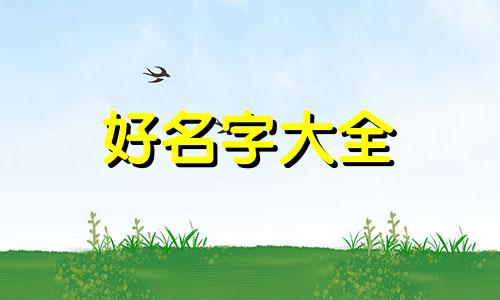 生活号如何起名字好听的名字