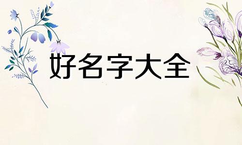 如何给狗狗和猫起名字呢