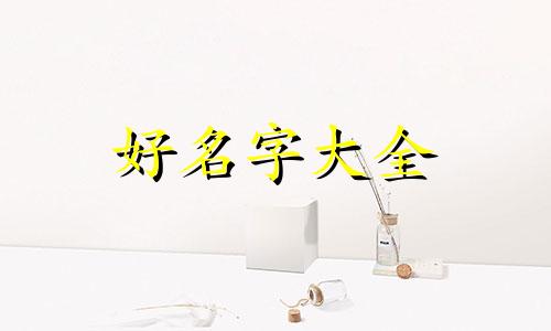 淀粉厂如何起名称和口号