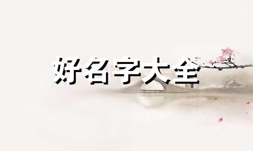 如何给糯米饭团起名字呢