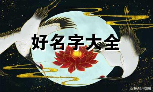 百姓家谱起名排字如何选
