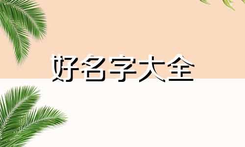 花茶小包装如何起名字呢
