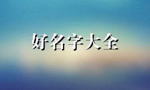 如何给小笼包店起名字