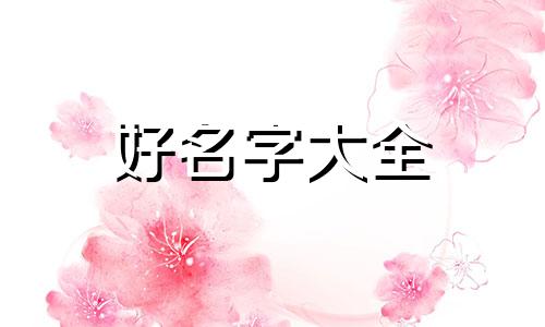 如何给灰色兔兔起名字女