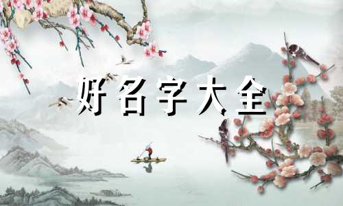印花裙如何起名字女生好听