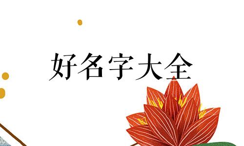 男宝宝姓夏如何起名字好听