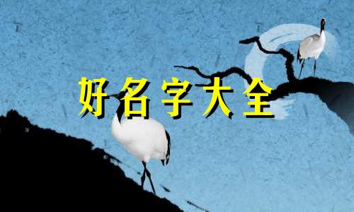 姓王的小孩该如何起名字