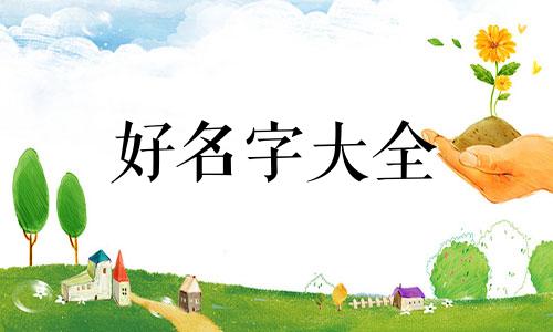如何给付姓男宝起名字的人