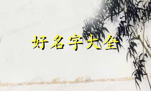 如何给商业计划书起名字