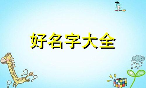 卖事故车如何起名字呢女生