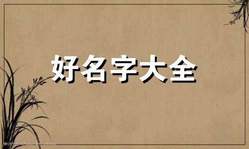 追剧社如何起名字好听点