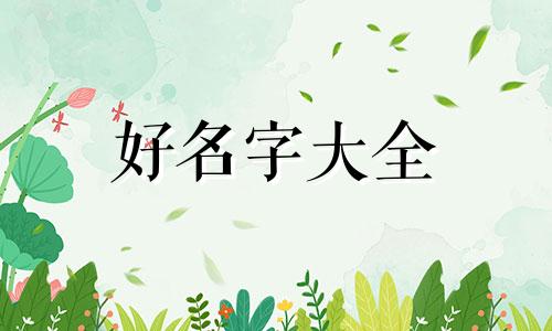 如何给枪械起名称好听男