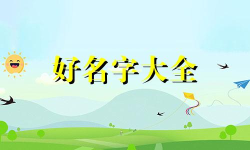 电脑文件夹如何起名字啊