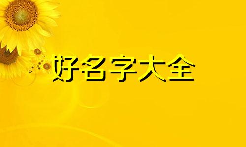 如何起名字姓氏王男孩子