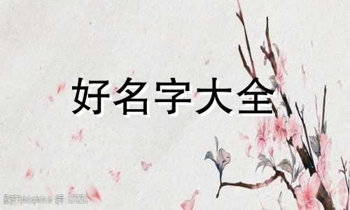 做美食主播如何起名字大全