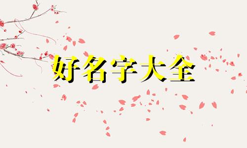 卖猕猴桃如何起名字呢