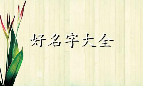 如何给狗狗起名字不撞名