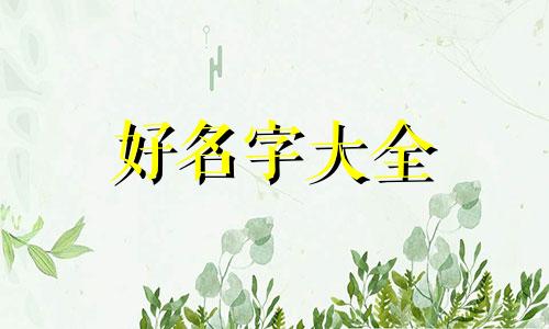 姓阚如何给猫起名字男