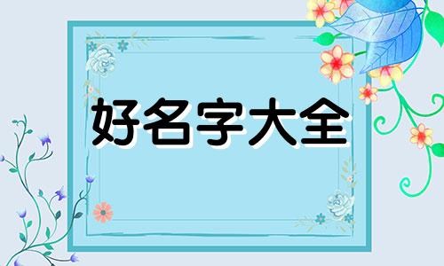 如何为小动物摄影起名字