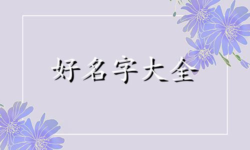 如何用艾米起名字好听点